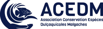 ACEDM